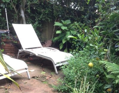 Private room in a sunny house with a great private yard near the Castro in San Francisco
