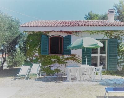Vieste rent room in a private ulive three park