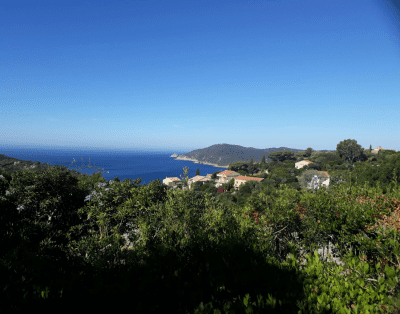 Charm bungalow on Ile du Levant,birth place of naturism !