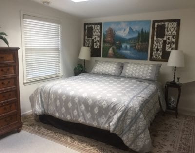 Nudist Friendly King Suite/Near Metro & Washington DC