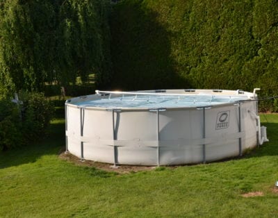 Private yard with swimming pool in Canada