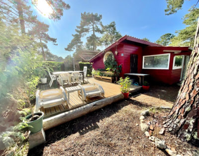 Authentic woodhouse close to the ocean below the pine trees for 2 pe