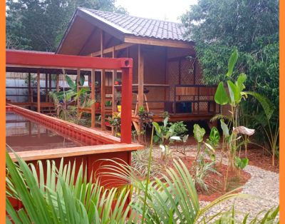 Gay B&B in a tropical garden with pool