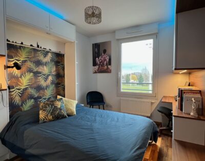 Cosy room in a confortable flat near european neighborhood and city center