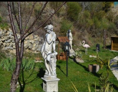 La bulle