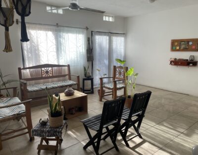 Naturist-Friendly Room with Light, Pets & Privacy