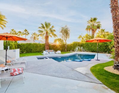 Under the Palms